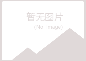 阳山县惜雪媒体有限公司